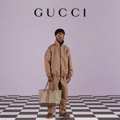 Borsa di Brown Gucci Ophidia delle donne bollate piccolo Tote Ebony di media grandezza