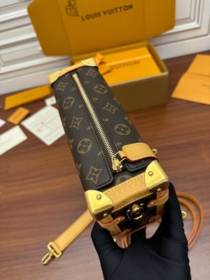 Valigia laterale Presbyopic della borsa di PM del monogramma del tronco di Louis Vuitton LV della tela di Brown