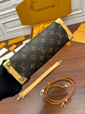 Valigia laterale Presbyopic della borsa di PM del monogramma del tronco di Louis Vuitton LV della tela di Brown