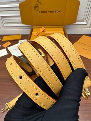 Valigia laterale Presbyopic della borsa di PM del monogramma del tronco di Louis Vuitton LV della tela di Brown
