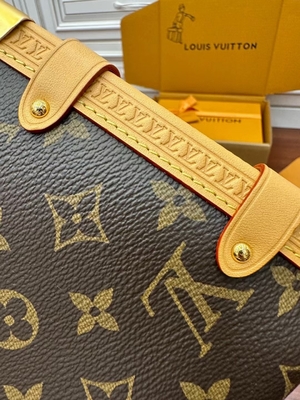Valigia laterale Presbyopic della borsa di PM del monogramma del tronco di Louis Vuitton LV della tela di Brown