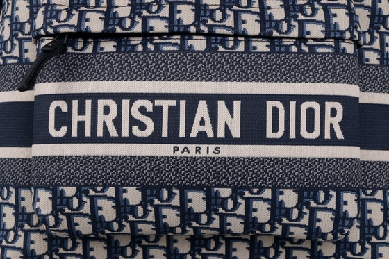 Progettista Small Diortravel Backpack Dior Oblique Jacquard blu