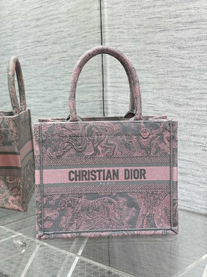 Piccolo Christian Dior Booktote Pink And Gray Toile De Jouy Sauvage Embroidery