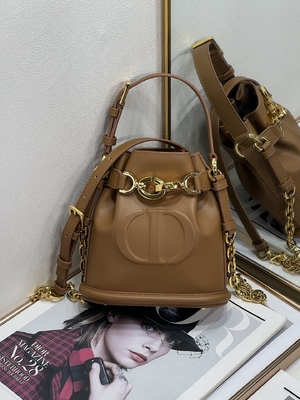 CD impresso Christian Dior Sport Bag Calfskin di C'est Dior Bag Gold Saddle