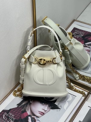 CD impresso Christian Dior Sport Bag Calfskin di C'est Dior Bag Gold Saddle