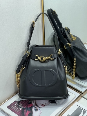 CD impresso Christian Dior Sport Bag Calfskin di C'est Dior Bag Gold Saddle